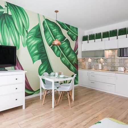 Cozy Modern Studio Green Apartment In Old Town Krakau Buitenkant foto